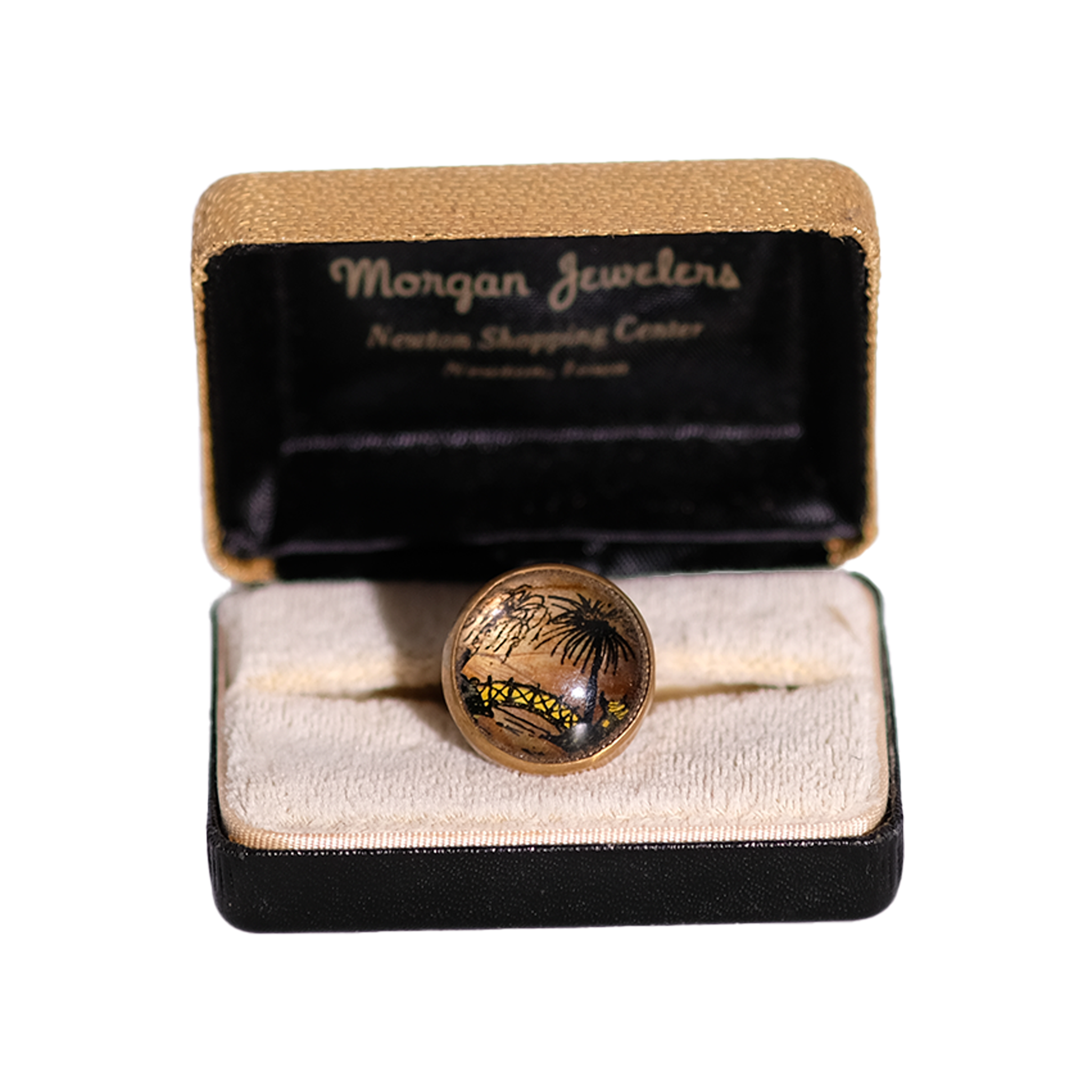 Brazilian Butterfly Wing